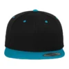 Black/Teal