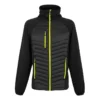 Black/Lime