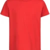 Scarlet Red