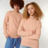 Stanley And Stella Unisex Changer Iconic Crew Neck Sweatshirt Stsu823