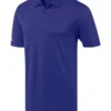 Collegiate Royal