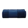 French Navy