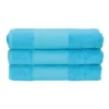 Aqua Blue