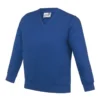 Academy Deep Royal