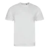 Arctic White