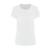 Arctic White