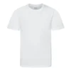Arctic White