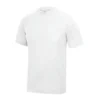 Arctic White