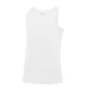 Arctic White