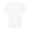 Arctic White