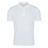 Arctic White