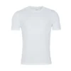 Arctic White