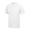 Arctic White