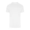 Arctic White