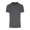 Iron Grey
