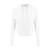 Arctic White