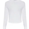 Arctic White
