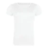 Arctic White