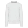 Arctic White