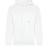 Arctic White