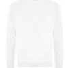 Arctic White