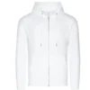 Arctic White