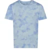 Blue Cloud