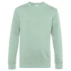 Aqua Green