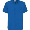 Blue Chip