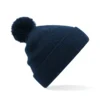 French Navy