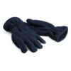French Navy