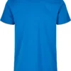 Cobalt Blue