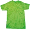 Spider Lime