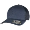 Flexfit By Yupoong 110 Mesh Cap 110M
