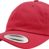 Cranberry