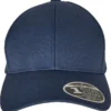 Flexfit By Yupoong Flexfit 110 Curved Visor Snapback