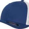 Royal/White