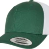 Evergreen/White