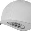 Silver/White
