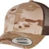Arid/Brown