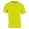 Safety Green
