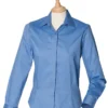 Corporate Blue