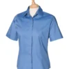 Corporate Blue