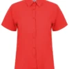 Classic Red