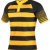 Black/Gold