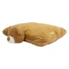 Mumbles Bear Cushion