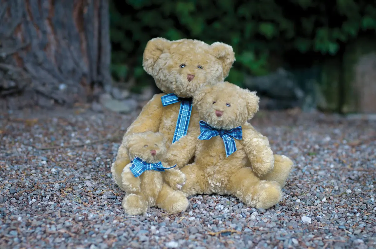Mumbles Bracken Bear