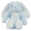 Blue Bunny