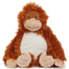 Orange Orangutan