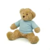 Mumbles Teddy T Shirt